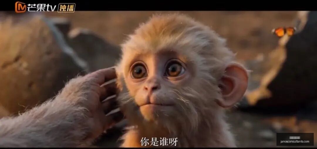 荣耀电竞馆,盛大开业,电竞爱好者,百家乐下注策略官网,百家乐下注策略App,百家乐下注策略网页版,百家乐下注策略全站,百家乐下注策略最新入口